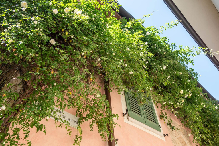 Others 3, B&B Teodoro, Mantua