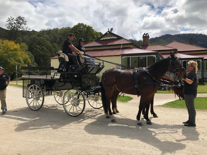 5, Canungra Valley Cottage, Tamborine Mountain