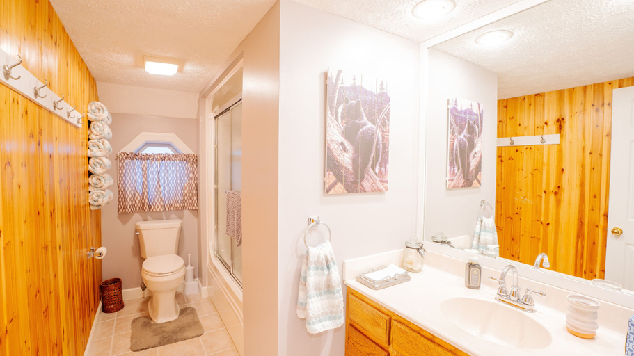 Bathroom 3, Bear Bottoms, Sevier