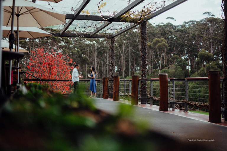 Others 5, Edge of the Forest, Augusta-Margaret River