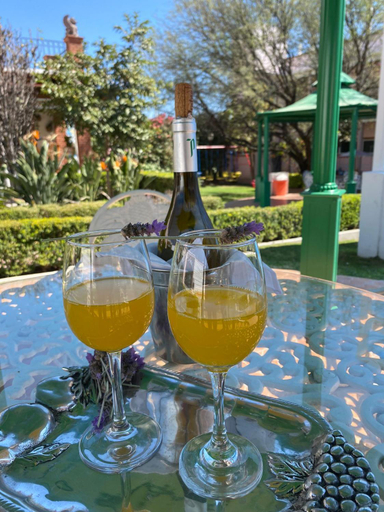 Food & Drinks 4, Hotel El Mirador, Tequisquiapan