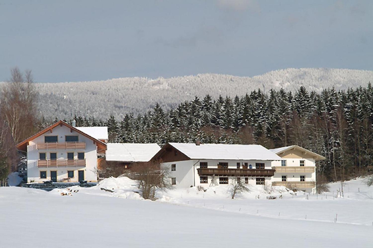 Others 4, Exenbacher Hof - Pension, Regen