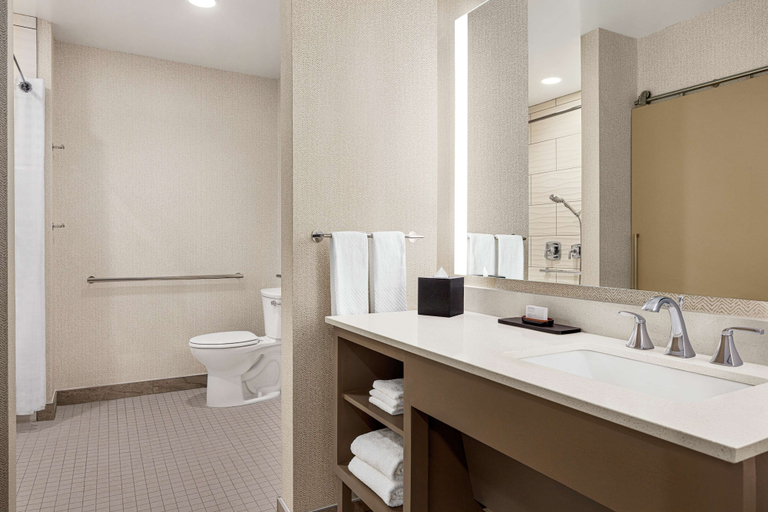 Bathroom 4, Embassy Suites by Hilton Round Rock, Williamson