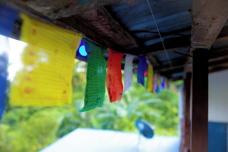 Others 5, Nama Stay Home, Gandaki