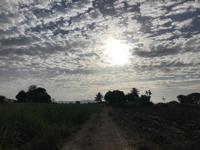 Others 4, Ingawalefarmhouse (Agro tourism, Satara