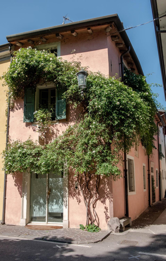 Others 5, B&B Teodoro, Mantua