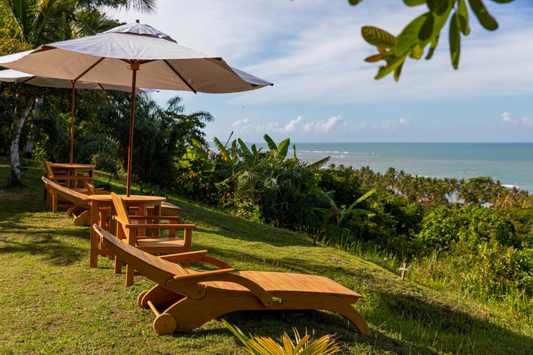 Others 5, Sungazer, Porto Seguro