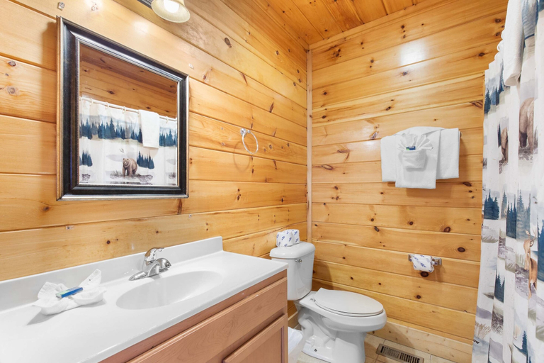 Bathroom 4, Just Hangin' Around, Sevier