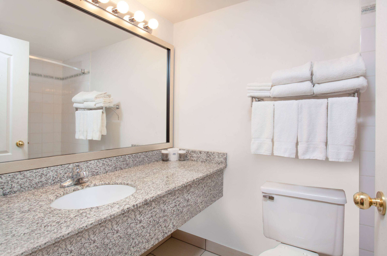 Bathroom 4, Ramada by Wyndham Red Deer Hotel and Suites, Division No. 8