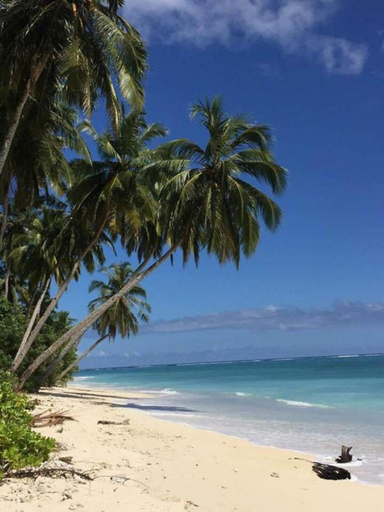 Exterior & Views 4, Hollow Trees Surf Katiet Mentawai surfing barrels, Kepulauan Mentawai