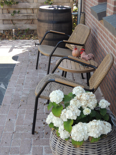 Others 4, Bed & Breakfast De Bodderie, Zederik