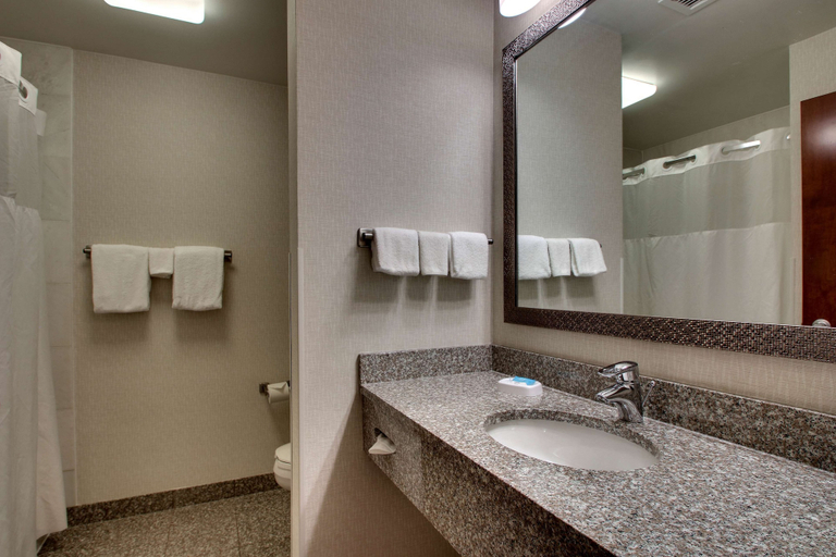 Bathroom 4, Drury Inn & Suites Findlay, Hancock