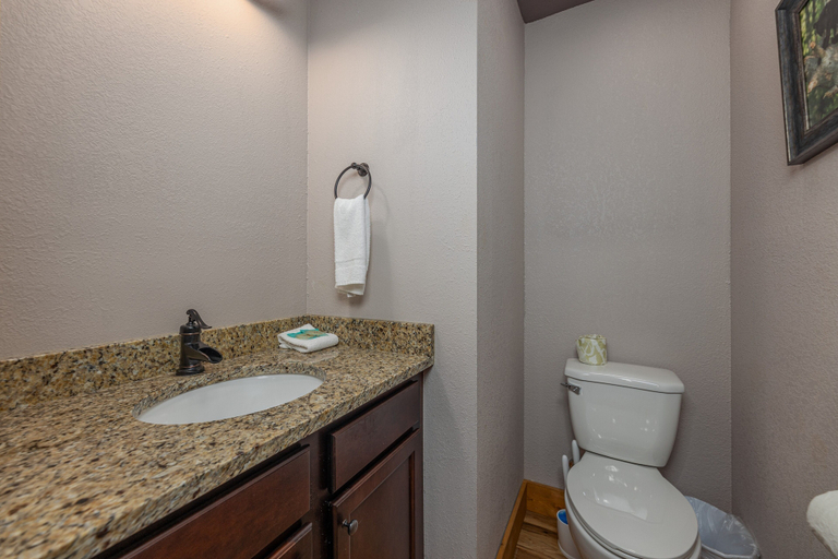 Bathroom 4, Tennessee Dream, Sevier