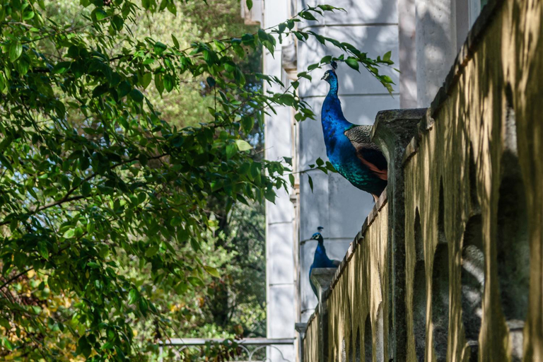 Others 2, Casas da Tapada, Lisbon