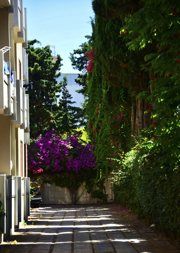 Exterior & Views 2, Residence with pool in Alghero, Sassari