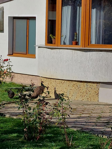 Others 5, Pensiunea Vera, Rasnov