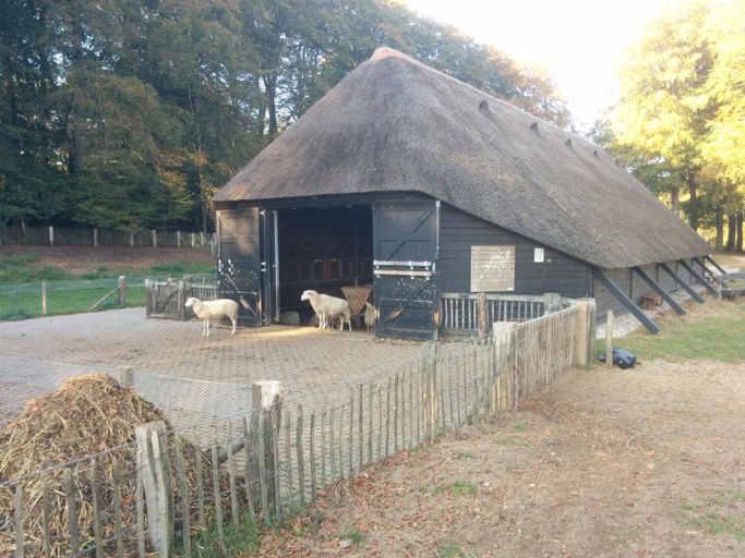 Facilities 3, Chalet Hoenderloo Spar, Apeldoorn