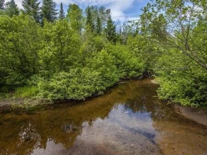Others 4, Le Bois Rond Des Ruisseaux, La Côte-de-Beaupré