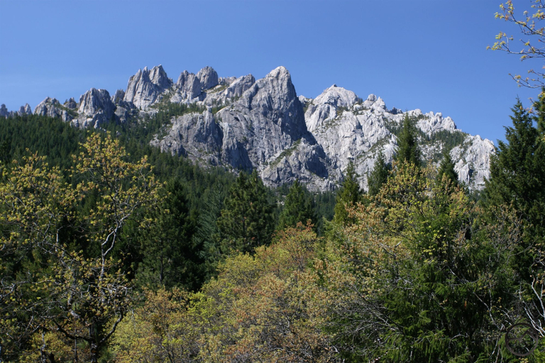 Others 5, The Angler Lodge, Siskiyou