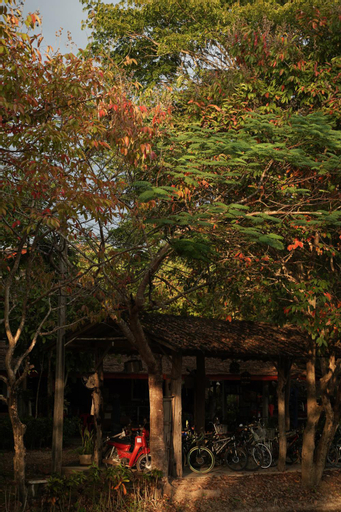Art House at Chiangdao - StarHouse, Chiang Dao