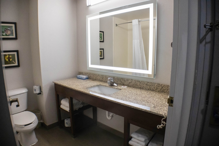 Bathroom 5, Comfort Suites Salisbury I-85, Rowan