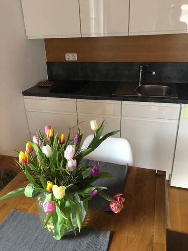 Others 4, mama kathe - Apartments, Bludenz