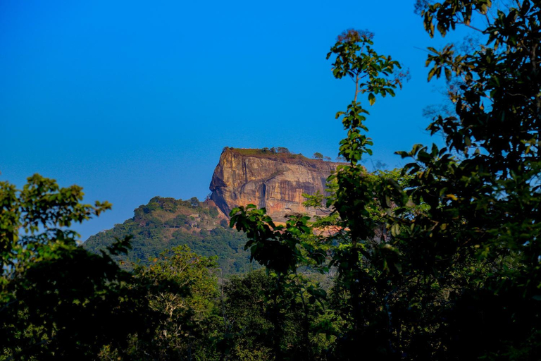 Others 4, Sigiri Panaromic Tree House, Dambulla
