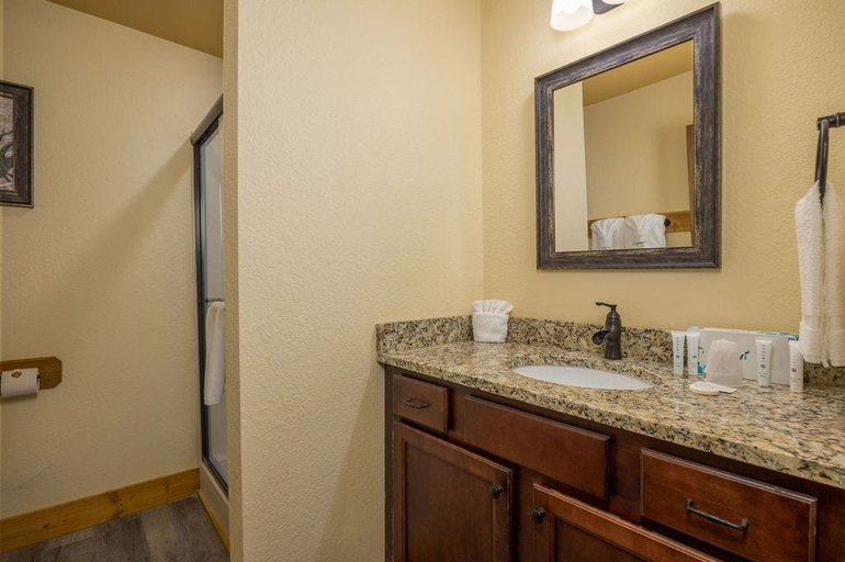Bathroom 3, Starry Starry Night, Sevier