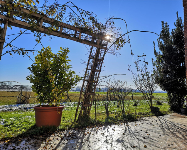 Others 3, B&B DE CAROL, Parma