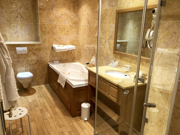 Bathroom 5, Hotel D'Angleterre, Marne