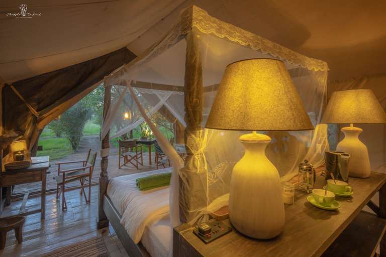 Bedroom 3, Mara Major Camp, Narok West