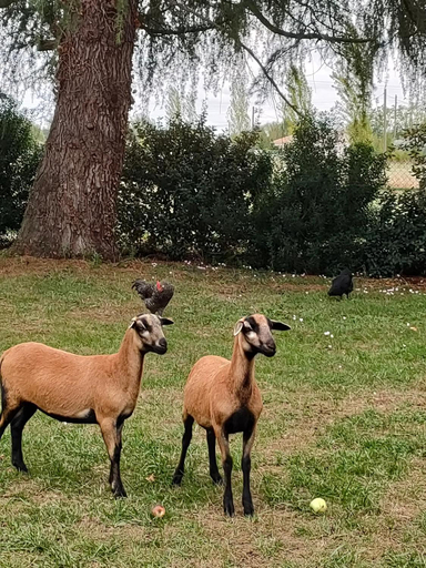 Others 3, L' Embellie sur Lot, Lot-et-Garonne