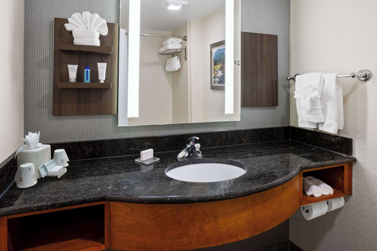 Bathroom 4, Hilton Garden Inn Milford, New Haven