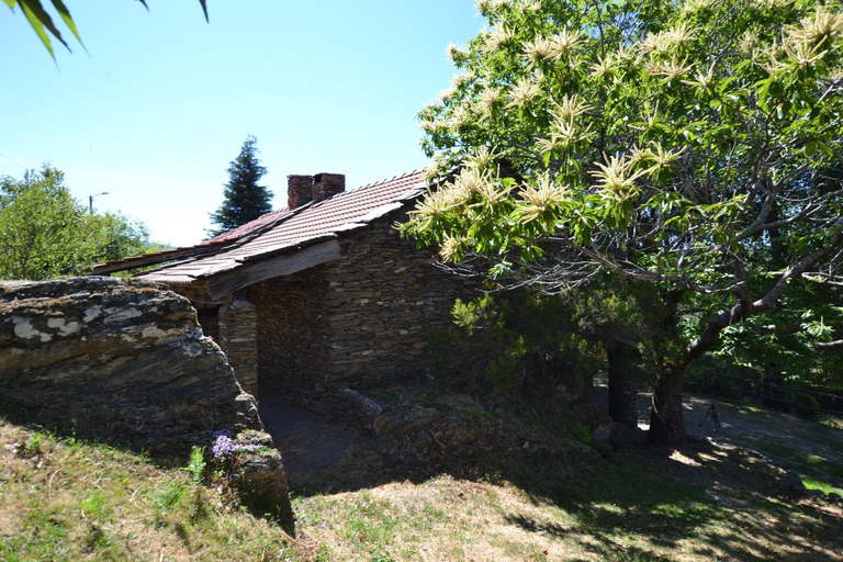 Others 5, Casas de Xisto, Branda da Aveleira, Melgaço
