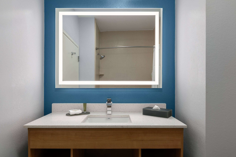 Bathroom 4, La Quinta Inn & Suites by Wyndham Ft. Worth - Burleson, Tarrant