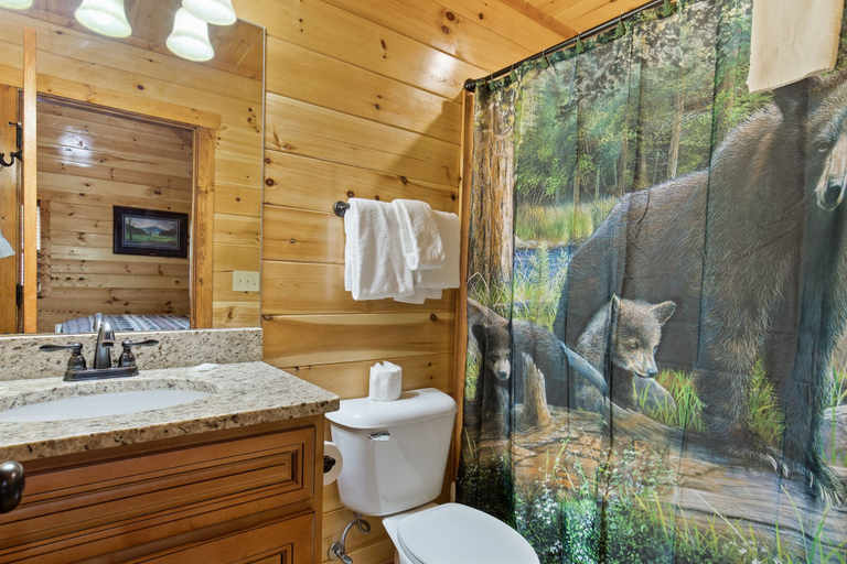 Bathroom 4, Mountain View Pool Lodge, Sevier
