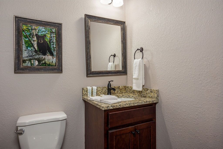 Bathroom 3, Starry Starry Night, Sevier