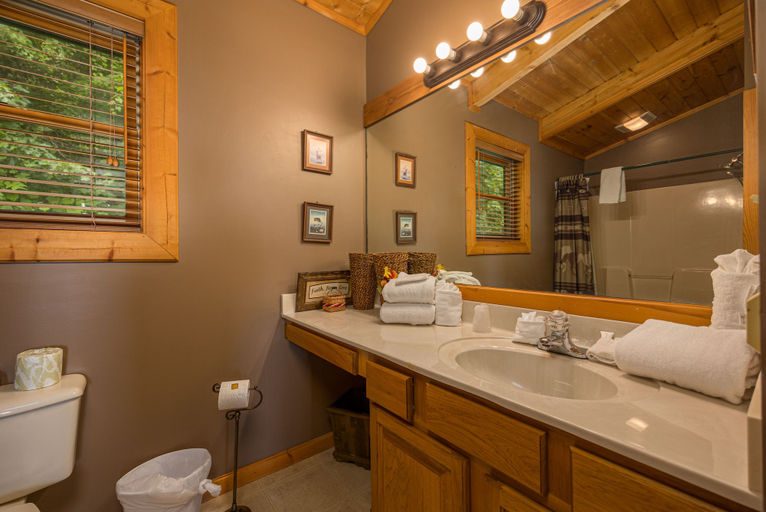 Bathroom 3, Beside the Bears, Sevier