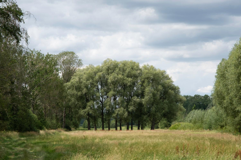Others 3, Gastezimmer Aschenbrenner, Coburg