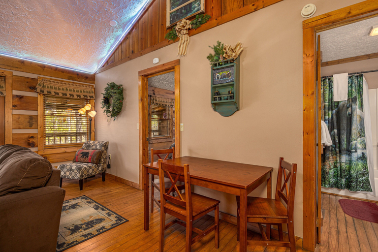 Others 5, Cozy Bears Cabin, Sevier