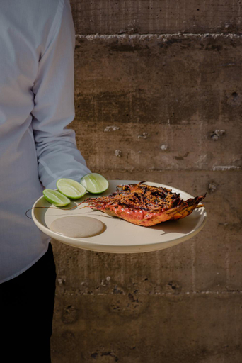 Food & Drinks 5, Hotel Paradero Todos Santos, La Paz