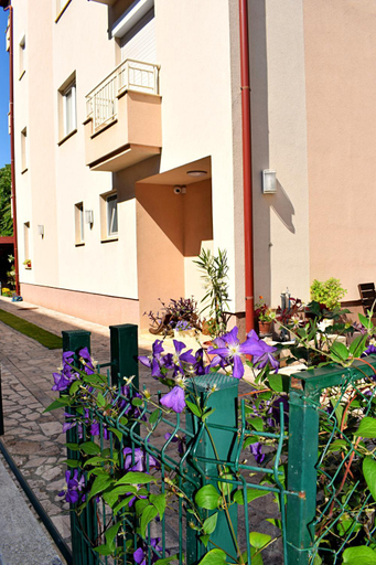 Others 4, Iris Guesthouse