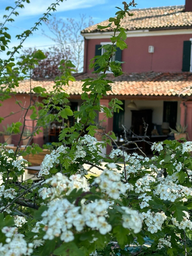 Exterior & Views 2, Residenza Ilde, Rimini