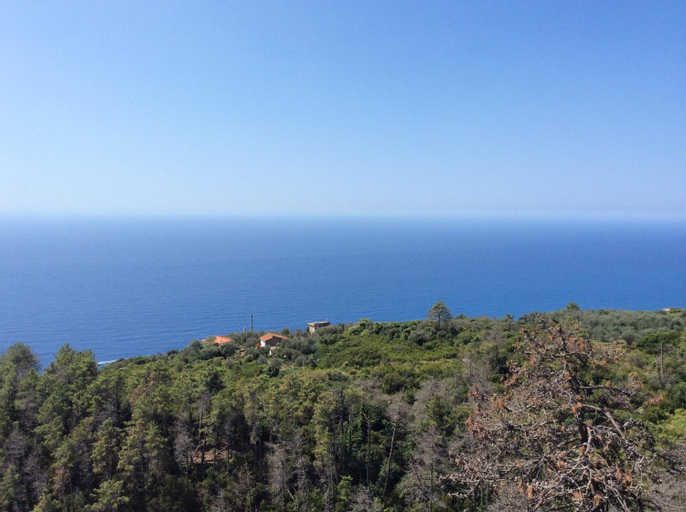 Scenery 7