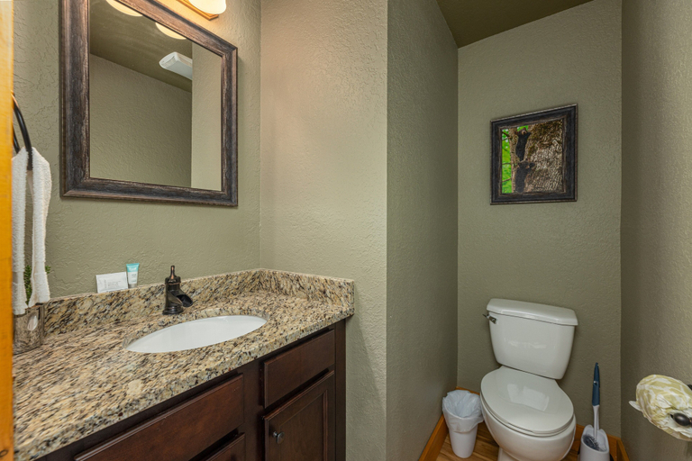 Bathroom 3, Altitude Adjustment, Sevier