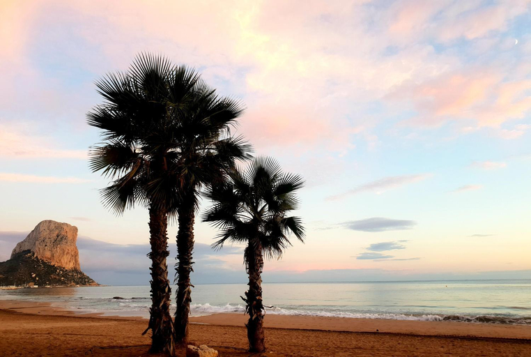 Others 5, By the beach, Alicante