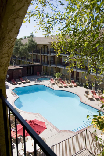 Swimming Pool 7