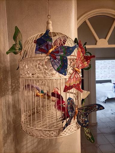 Others 5, Butterfly House, Napoli