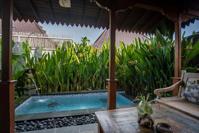Swimming Pool 11