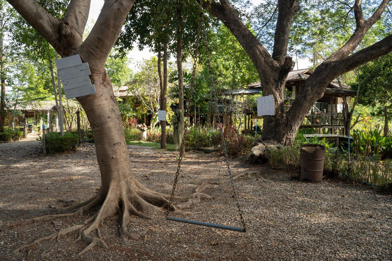 Others 5, Art House at Chiangdao - StarHouse, Chiang Dao